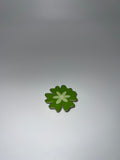 Green flower - needle minder