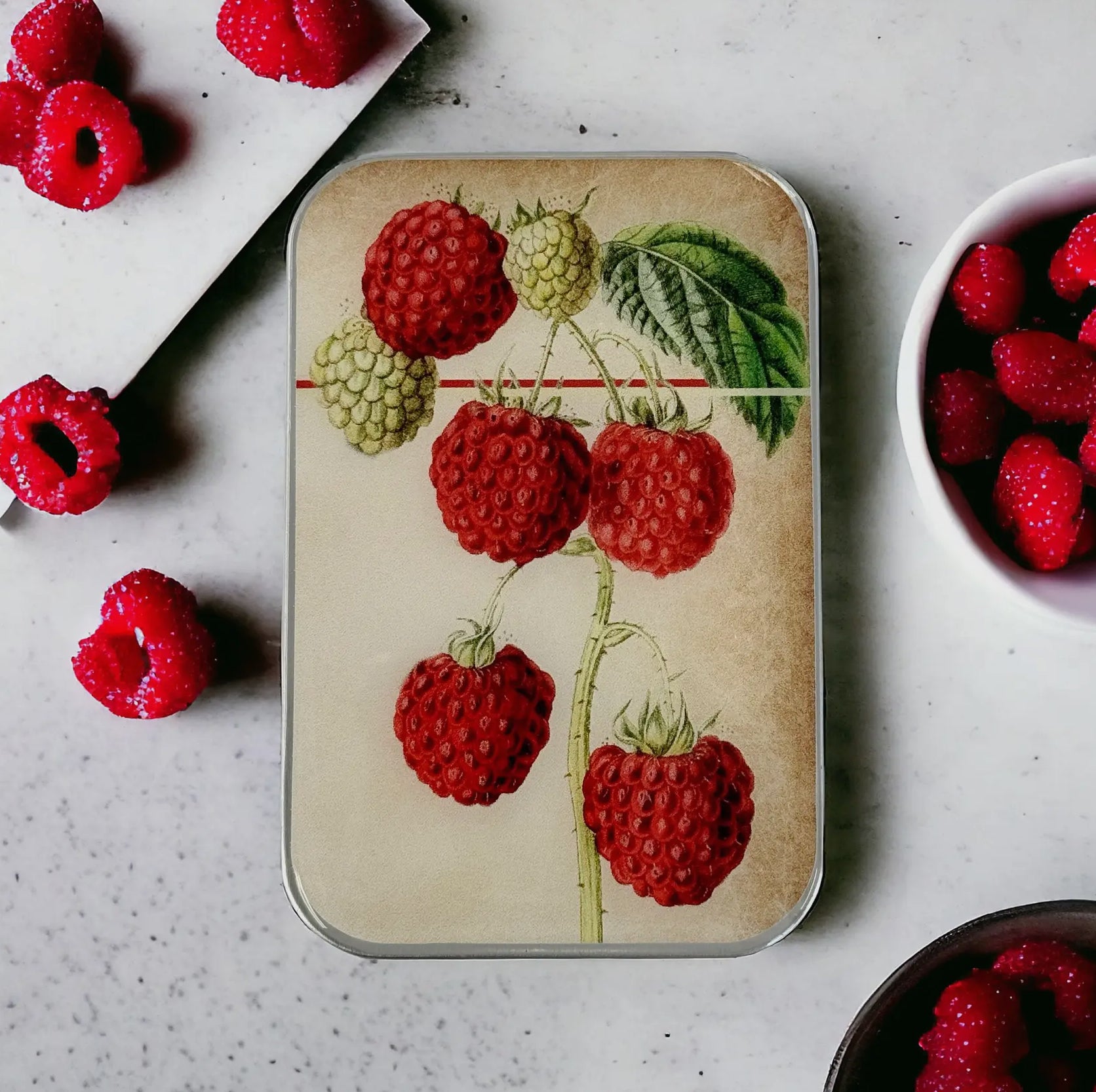 Raspberry Notions Tin / Stitch Marker Tin