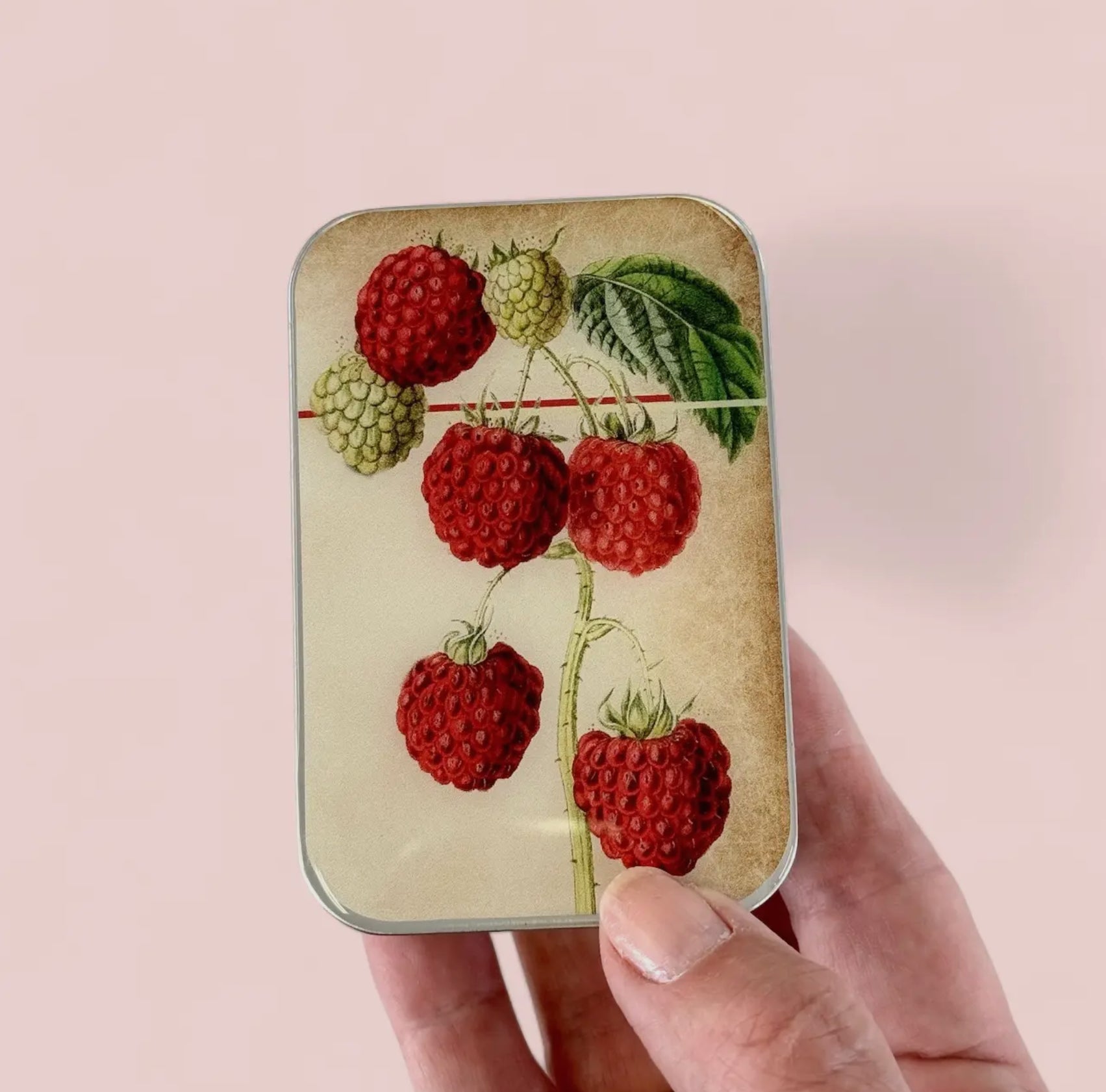 Raspberry Notions Tin / Stitch Marker Tin