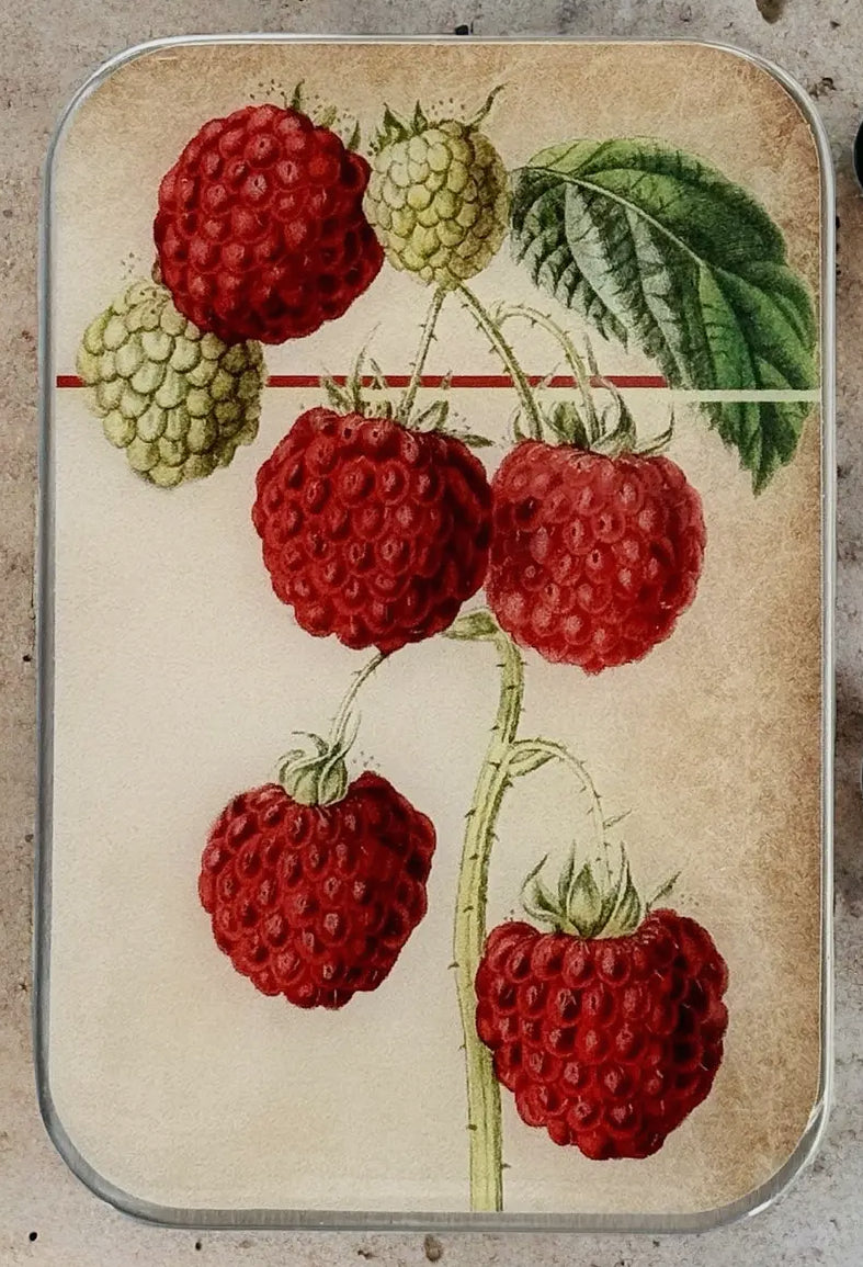 Raspberry Notions Tin / Stitch Marker Tin