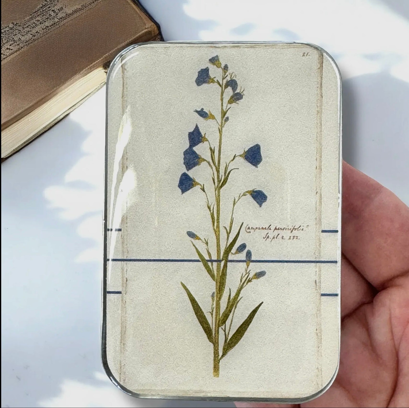 Bellflower Notions Tin