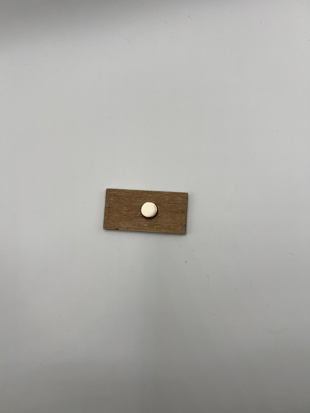 Kindness is Beautiful- Needle Minder