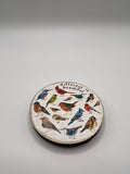 Different is Beautiful Birds - Needle Minder