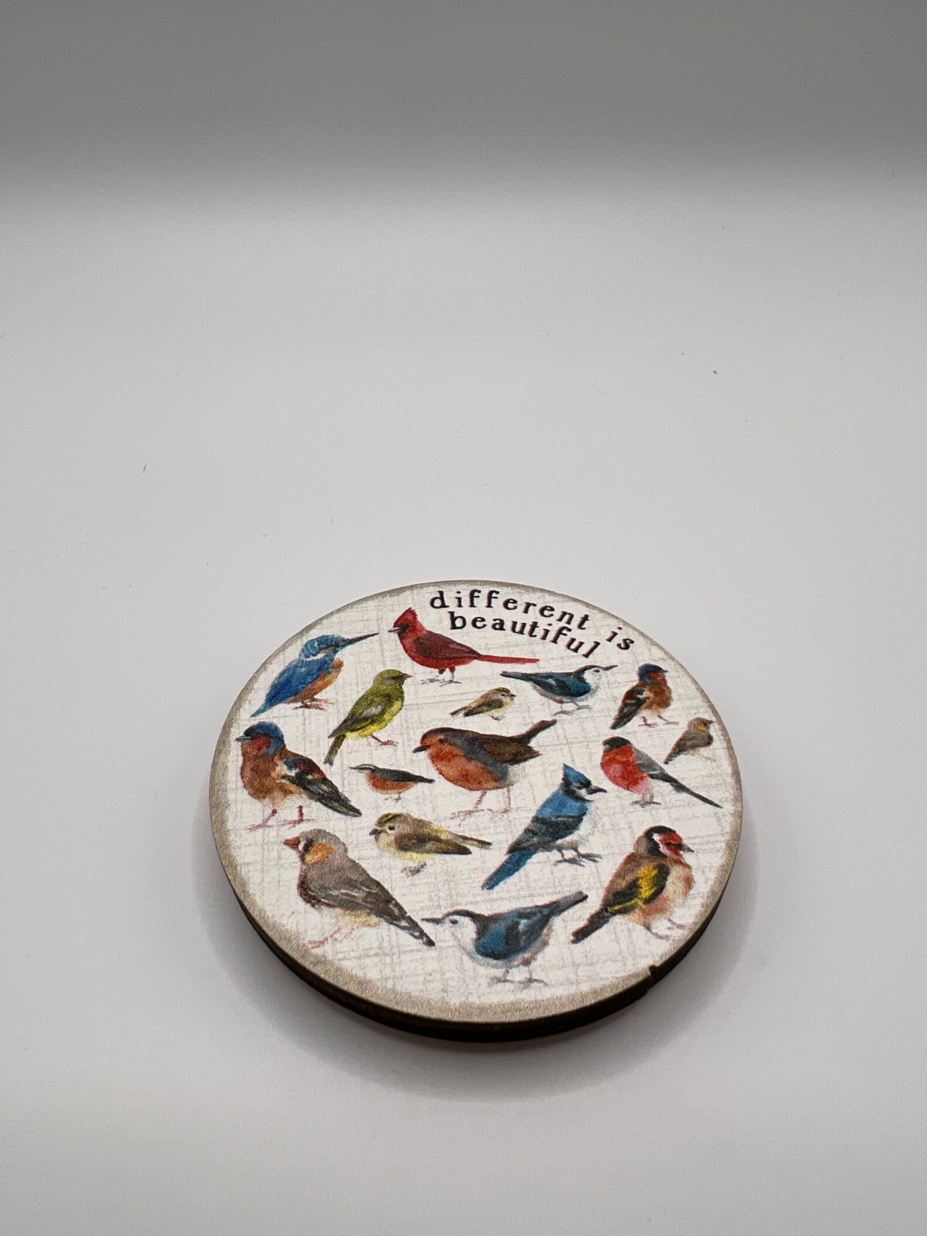Different is Beautiful Birds - Needle Minder