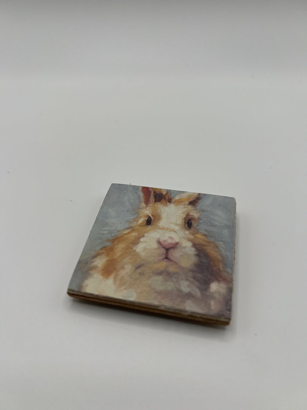 Needle Minder - Brown Fuzzy Bunny