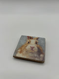 Needle Minder - Brown Fuzzy Bunny