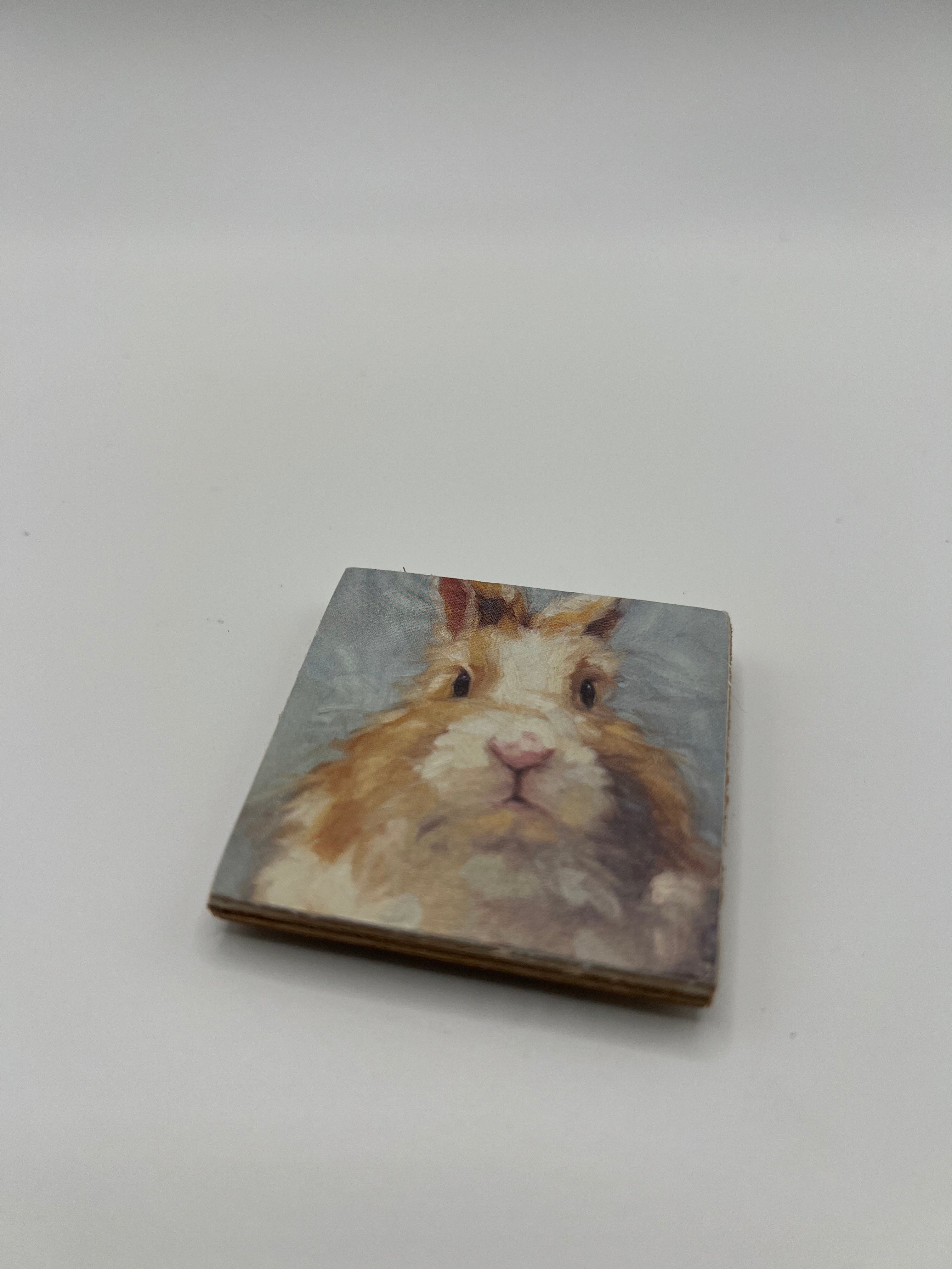 Needle Minder - Brown Fuzzy Bunny